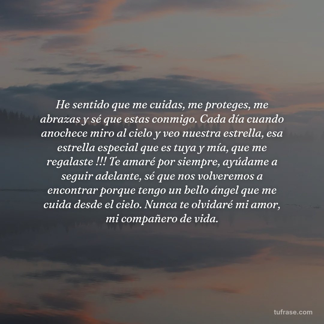 He sentido que me cuidas, me proteges, me abrazas y sé que estas conmigo. Cada día cuando anochece miro al cielo y veo nuestra estrella, esa estrella especial que es tuya y mía, que me regalaste !!! Te amaré por siempre, ayúdame a seguir adelante, sé que nos volveremos a encontrar porque tengo un bello ángel que me cuida desde el cielo. Nunca te olvidaré mi amor, mi compañero de vida.