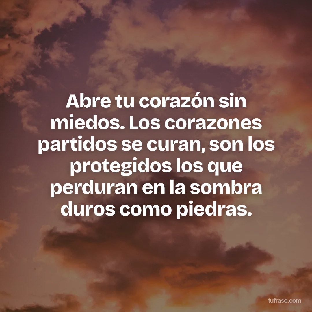 Abre tu corazón sin miedos. Los corazones partidos se curan, son los protegidos los que perduran en la sombra duros como piedras.
