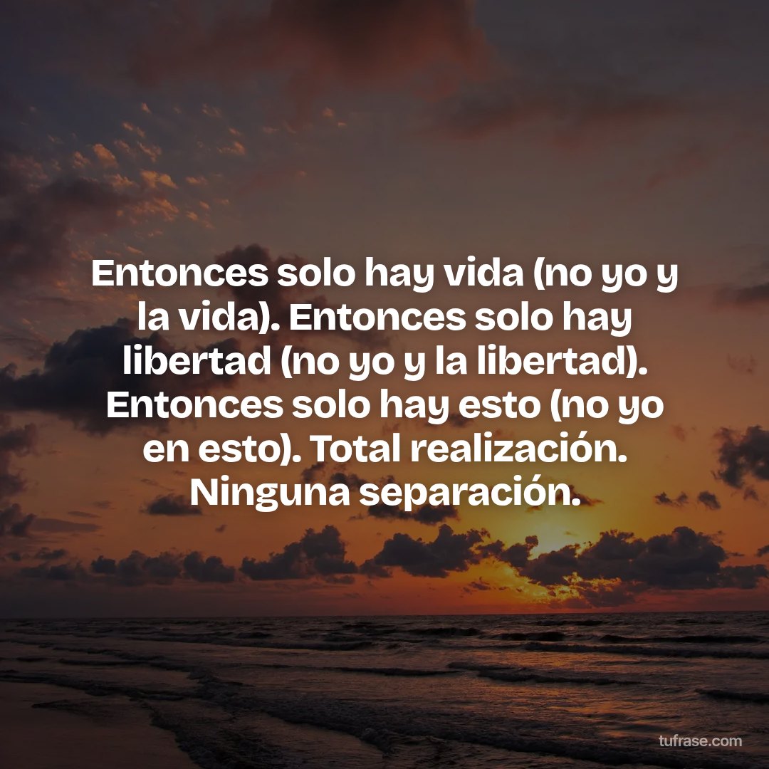Entonces solo hay vida (no yo y la vida). Entonces solo hay libertad (no yo y la libertad). Entonces solo hay esto (no yo en esto). Total realización. Ninguna separación.