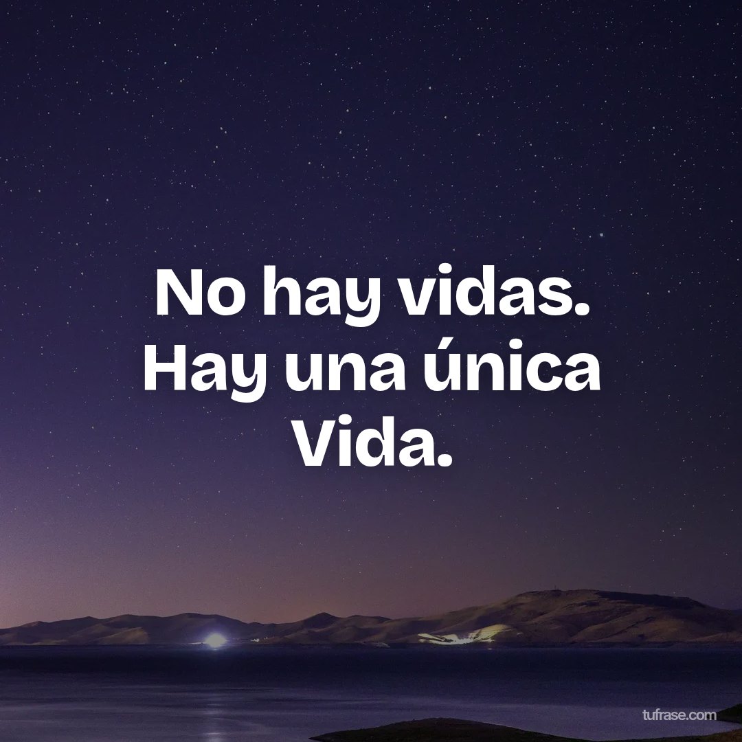 No hay vidas. Hay una única Vida.