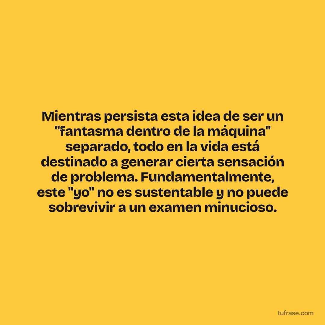 Mientras persista esta idea de ser un "fantasma dentro de la máquina" separado, todo en la vida está destinado a generar cierta sensación de problema. Fundamentalmente, este "yo" no es sustentable y no puede sobrevivir a un examen minucioso.