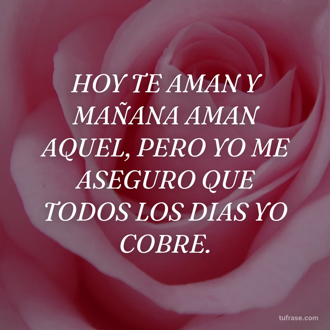 HOY TE AMAN Y MAÑANA AMAN AQUEL, PERO YO ME ASEGURO QUE TODOS LOS DIAS YO COBRE.