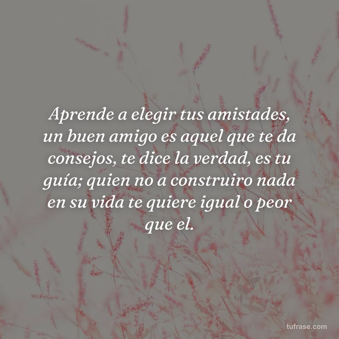 Aprende a elegir tus amistades, un buen amigo es aquel que te da consejos, te dice la verdad, es tu guía; quien no a construiro nada en su vida te quiere igual o peor que el.