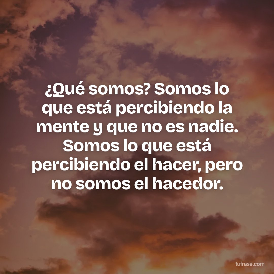 ¿Qué somos? Somos lo que está percibiendo la mente y que no es nadie. Somos lo que está percibiendo el hacer, pero no somos el hacedor.