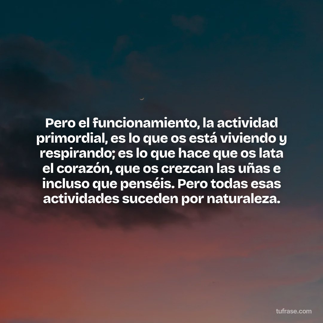 Pero el funcionamiento, la actividad primordial, es lo que os está viviendo y respirando; es lo que hace que os lata el corazón, que os crezcan las uñas e incluso que penséis. Pero todas esas actividades suceden por naturaleza.