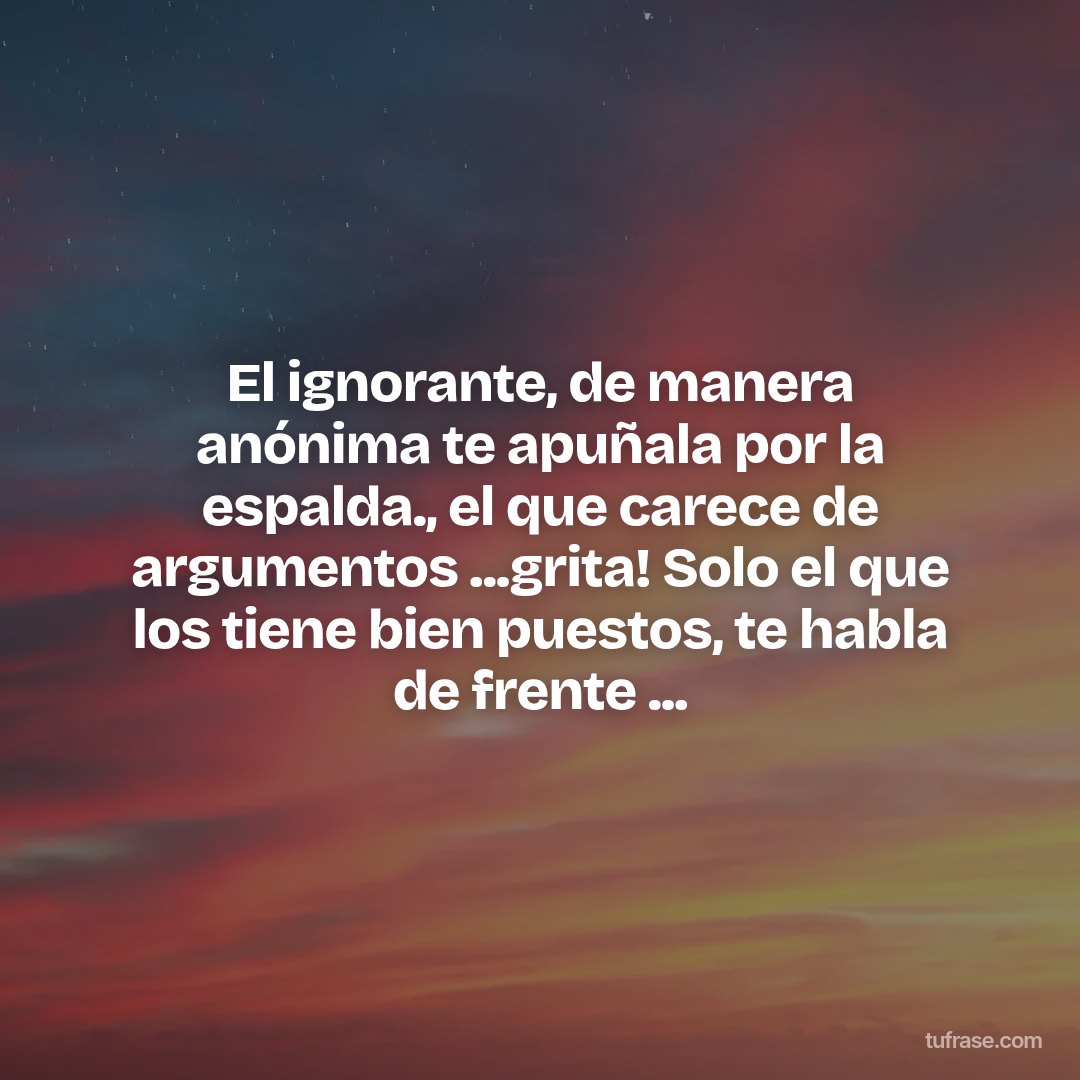 El ignorante, de manera anónima te apuñala por la espalda., el que carece de argumentos ...grita! Solo el que los tiene bien puestos, te habla de frente ...