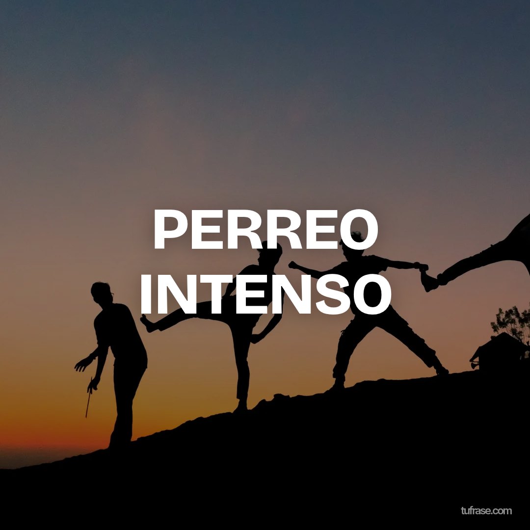 PERREO INTENSO