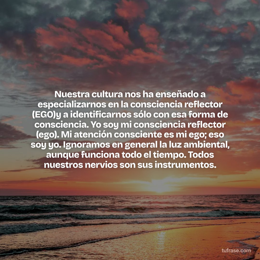 Nuestra cultura nos ha enseñado a especializarnos en la consciencia reflector (EGO)y a identificarnos sólo con esa forma de consciencia. Yo soy mi consciencia reflector (ego). Mi atención consciente es mi ego; eso soy yo. Ignoramos en general la luz ambiental, aunque funciona todo el tiempo. Todos nuestros nervios son sus instrumentos.