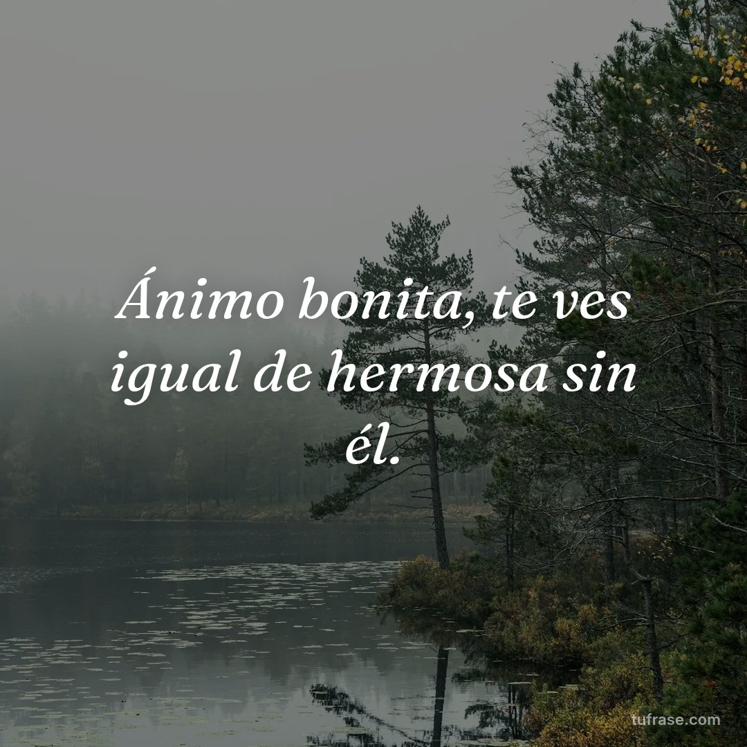 Ánimo bonita, te ves igual de hermosa sin él.