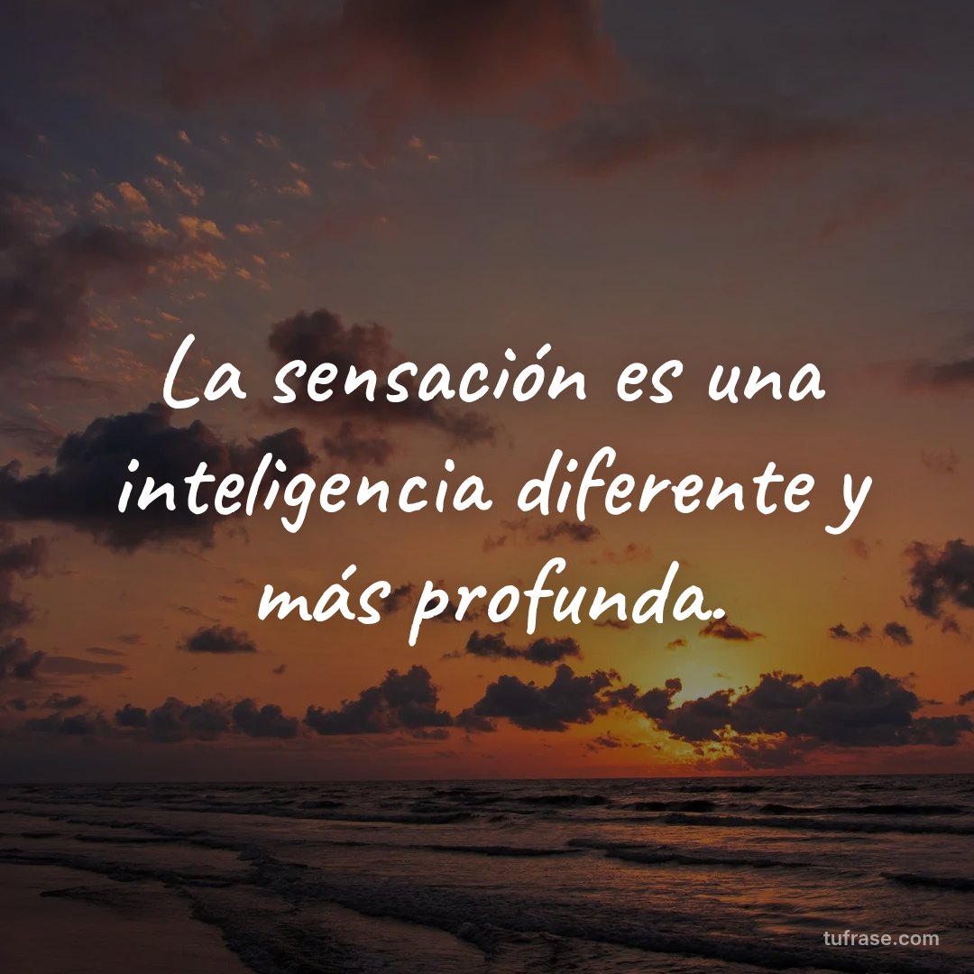 La sensación es una inteligencia diferente y más profunda.
