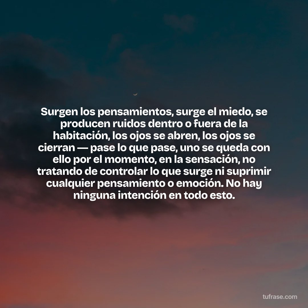 Surgen los pensamientos, surge el miedo, se producen ruidos dentro o fuera de la habitación, los ojos se abren, los ojos se cierran ― pase lo que pase, uno se queda con ello por el momento, en la sensación, no tratando de controlar lo que surge ni suprimir cualquier pensamiento o emoción. No hay ninguna intención en todo esto.