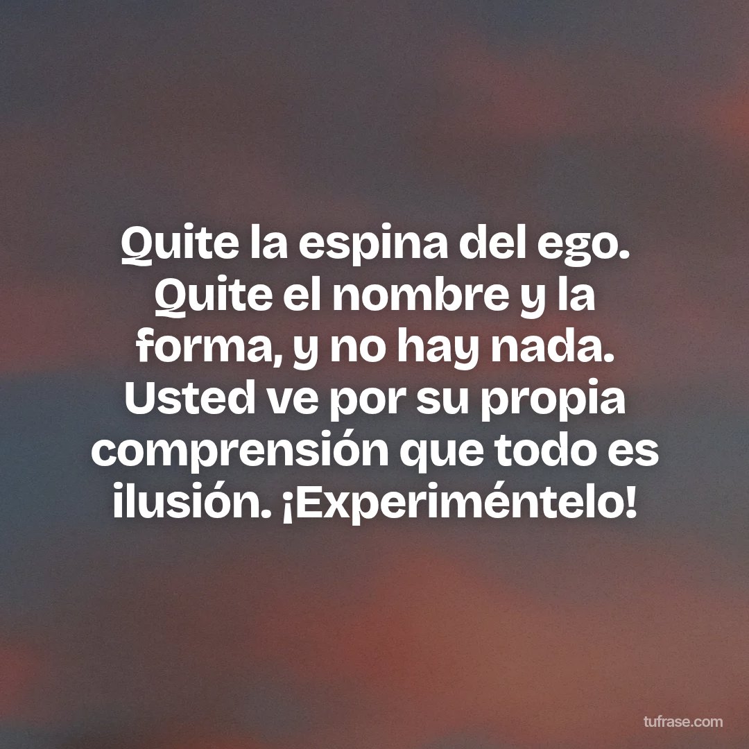 Quite la espina del ego. Quite el nombre y la forma, y no hay nada. Usted ve por su propia comprensión que todo es ilusión. ¡Experiméntelo!