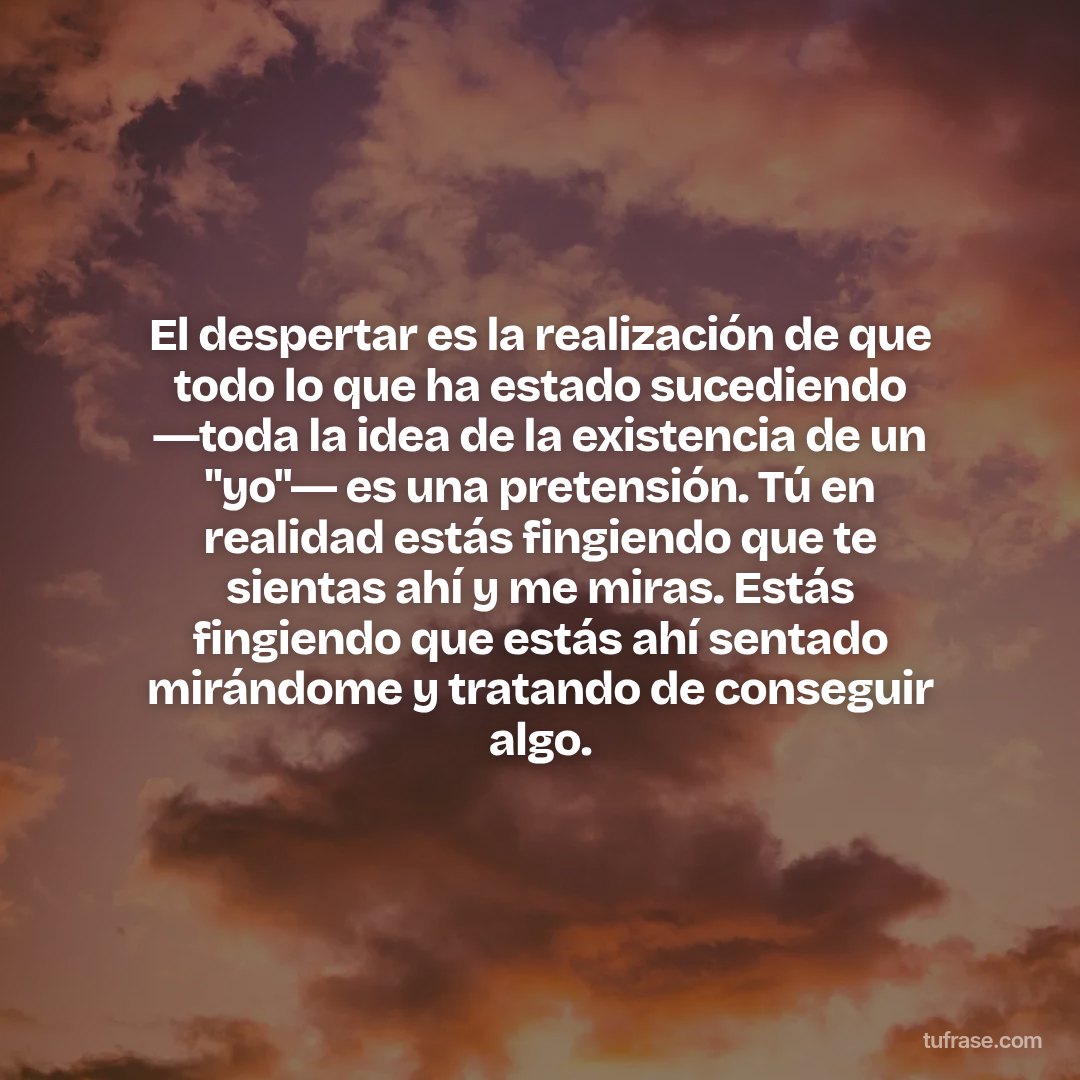 El despertar es la realización de que todo lo que ha estado sucediendo ―toda la idea de la existencia de un "yo"― es una pretensión. Tú en realidad estás fingiendo que te sientas ahí y me miras. Estás fingiendo que estás ahí sentado mirándome y tratando de conseguir algo.