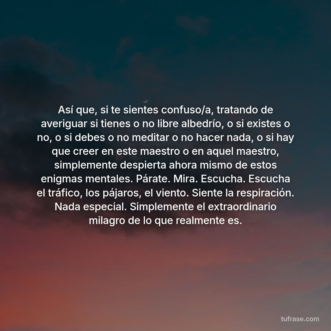 Así que, si te sientes confuso/a, tratando de averiguar si tienes o no libre albedrío, o si existes o no, o si debes o no meditar o no hacer nada, o si hay que creer en este maestro o en aquel maestro, simplemente despierta ahora mismo de estos enigmas mentales. Párate. Mira. Escucha. Escucha el tráfico, los pájaros, el viento. Siente la respiración. Nada especial. Simplemente el extraordinario milagro de lo que realmente es.