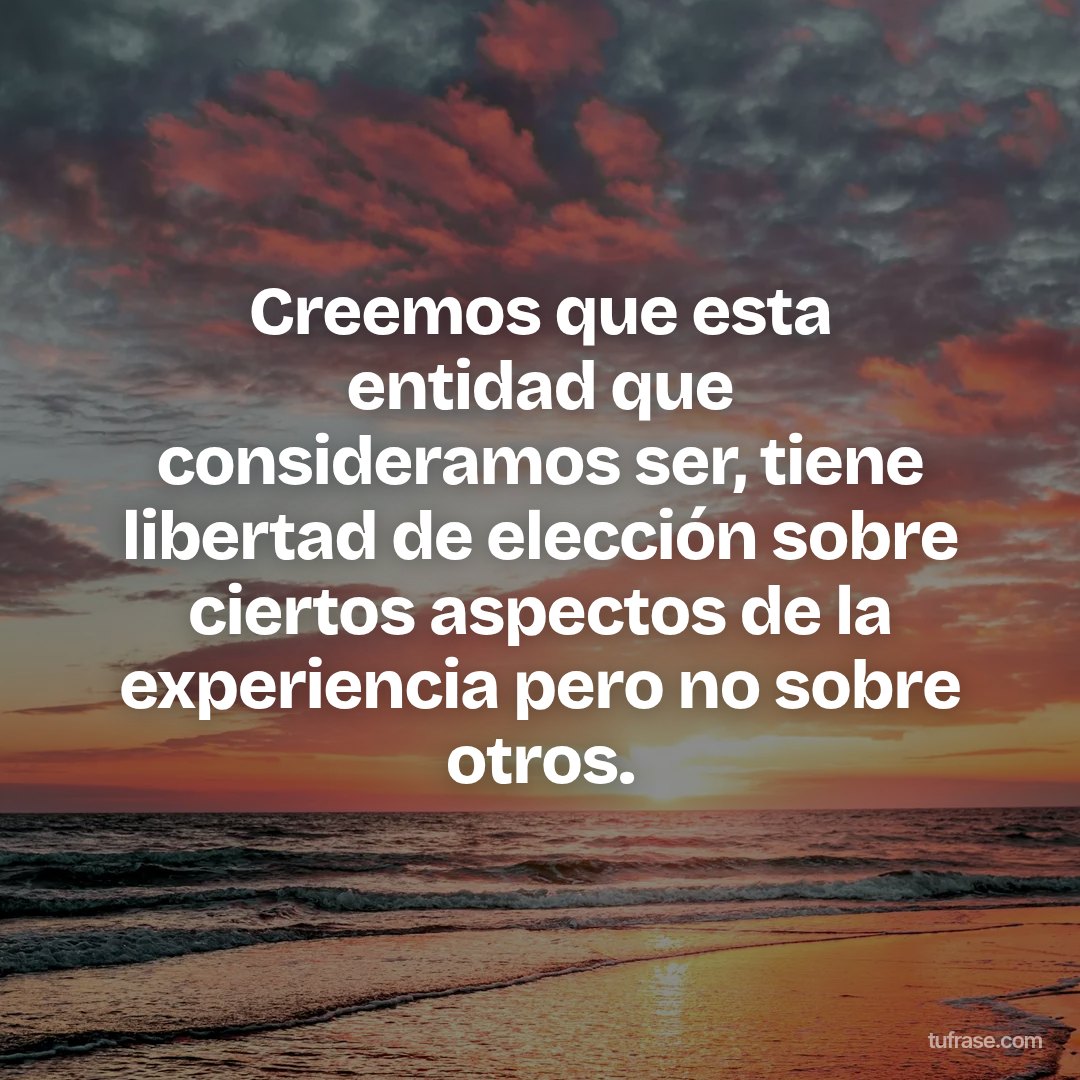 Creemos que esta entidad que consideramos ser, tiene libertad de elección sobre ciertos aspectos de la experiencia pero no sobre otros.