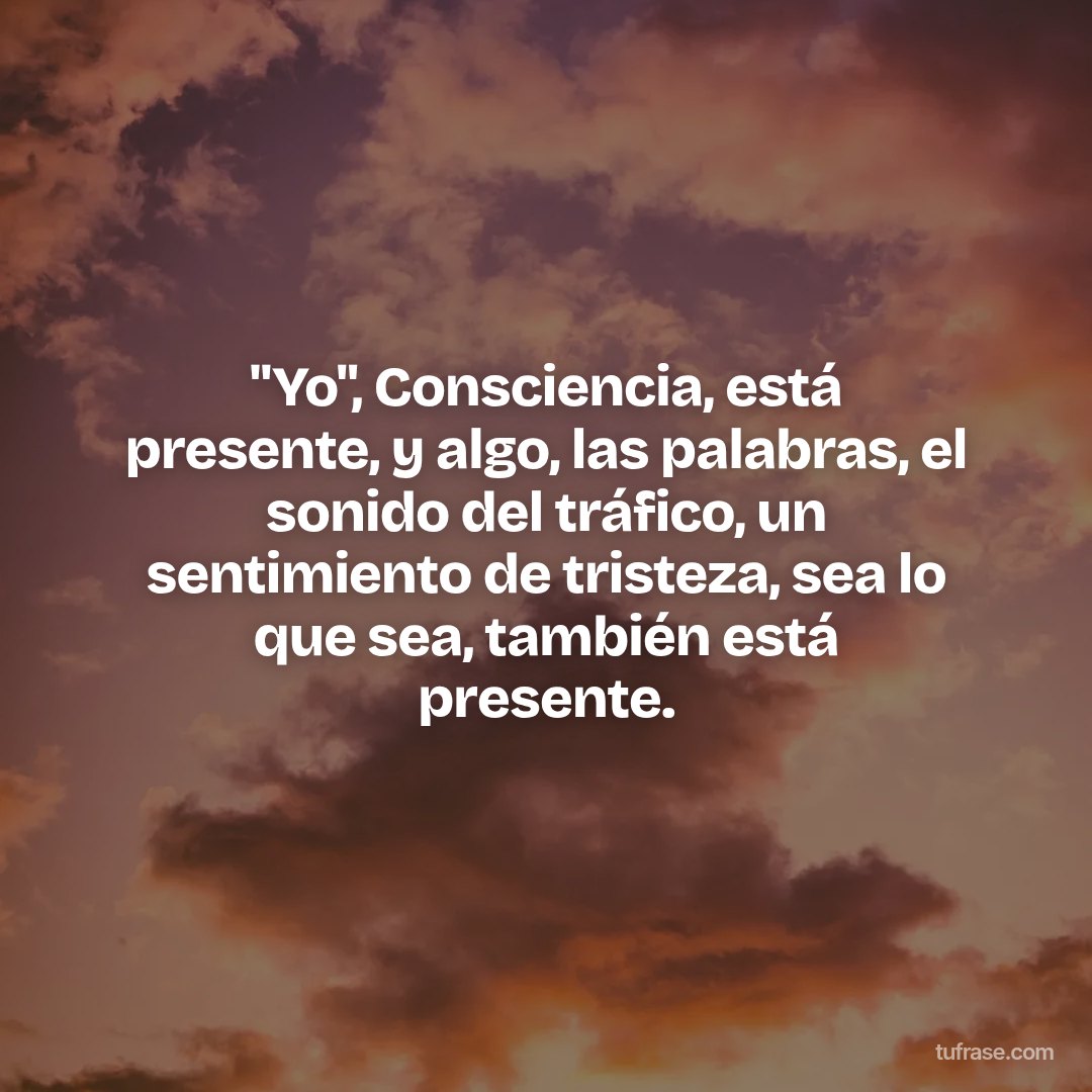"Yo", Consciencia, está presente, y algo, las palabras, el sonido del tráfico, un sentimiento de tristeza, sea lo que sea, también está presente.
