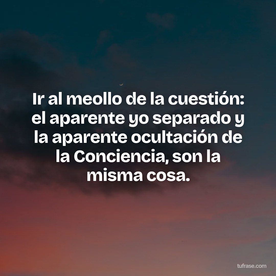 Ir al meollo de la cuestión: el aparente yo separado y la aparente ocultación de la Conciencia, son la misma cosa.
