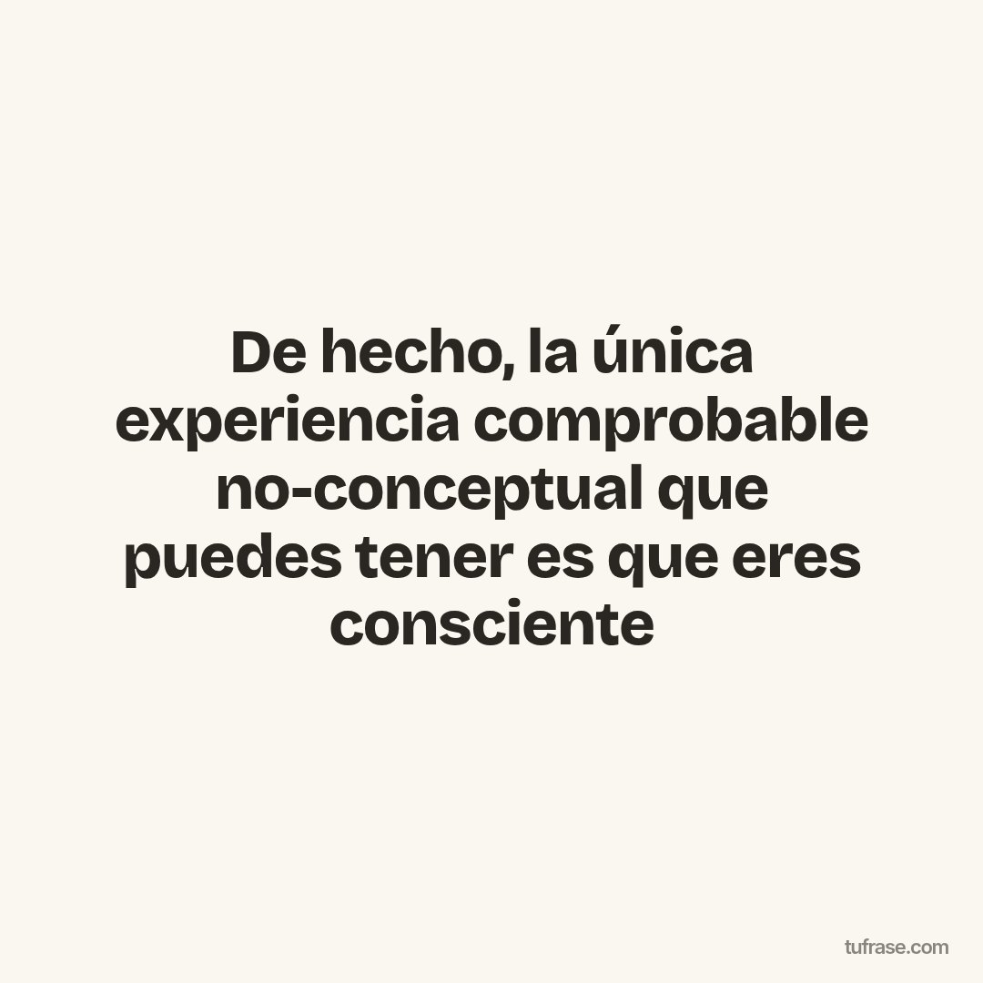 De hecho, la única experiencia comprobable no-conceptual que puedes tener es que eres consciente