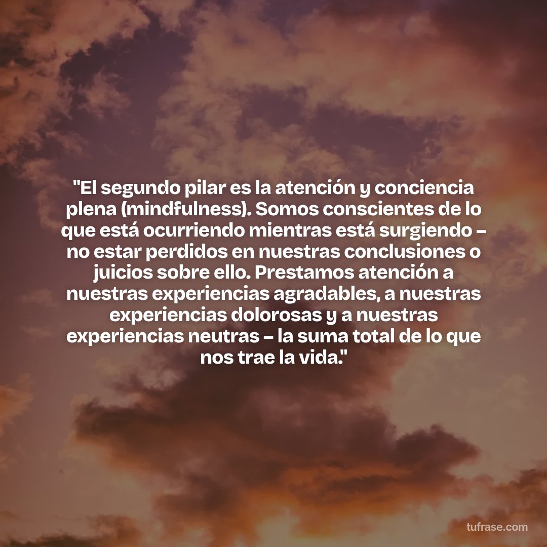 "El segundo pilar es la atención y conciencia plena (mindfulness). Somos conscientes de lo que está ocurriendo mientras está surgiendo – no estar perdidos en nuestras conclusiones o juicios sobre ello. Prestamos atención a nuestras experiencias agradables, a nuestras experiencias dolorosas y a nuestras experiencias neutras – la suma total de lo que nos trae la vida."