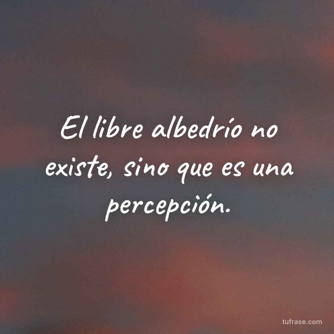 El libre albedrío no existe, sino que es una percepción.