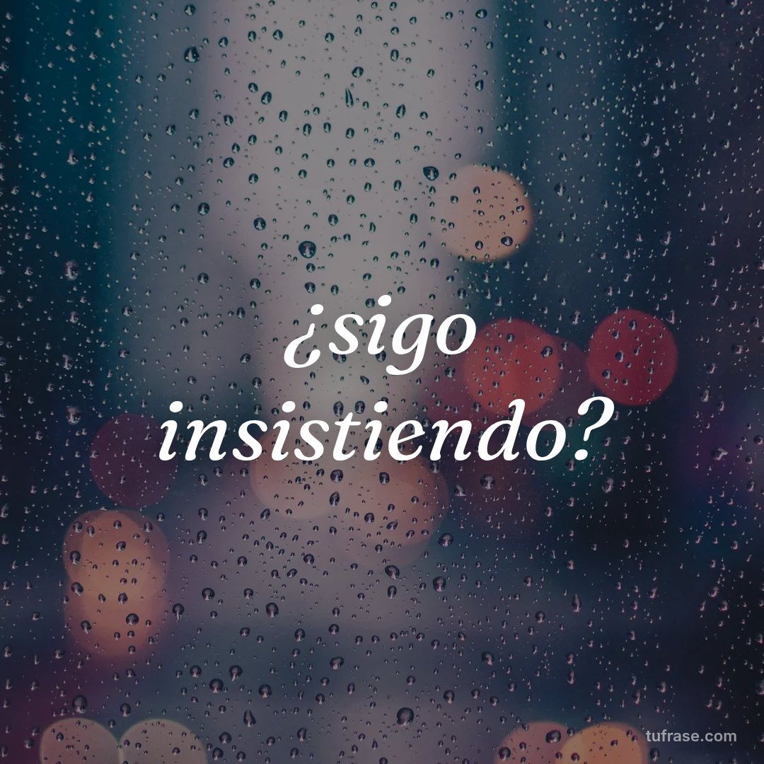 ¿sigo insistiendo?