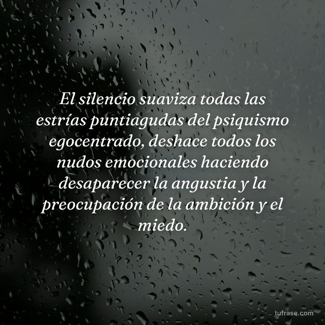 El silencio suaviza todas las estrías puntiagudas del psiquismo egocentrado, deshace todos los nudos emocionales haciendo desaparecer la angustia y la preocupación de la ambición y el miedo.