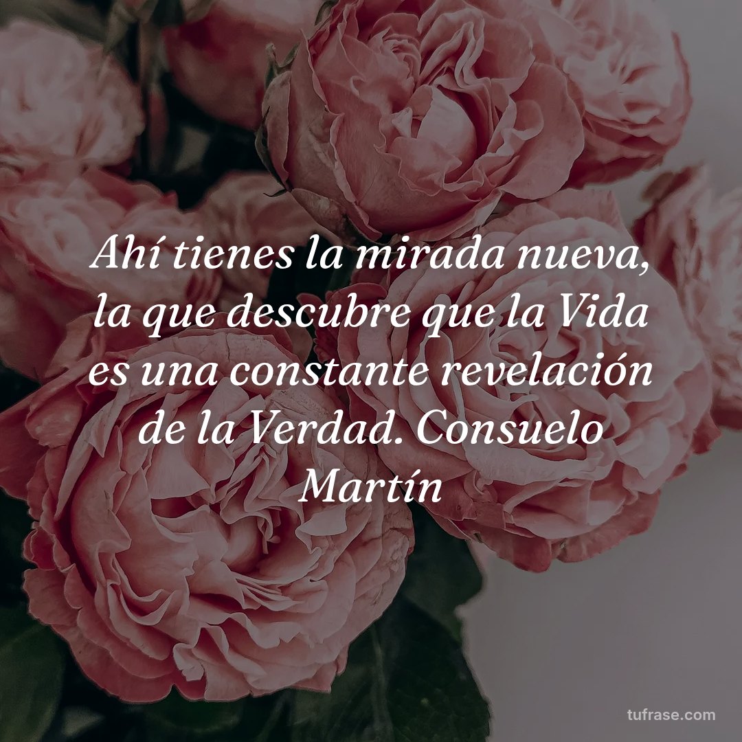 Ahí tienes la mirada nueva, la que descubre que la Vida es una constante revelación de la Verdad. Consuelo Martín