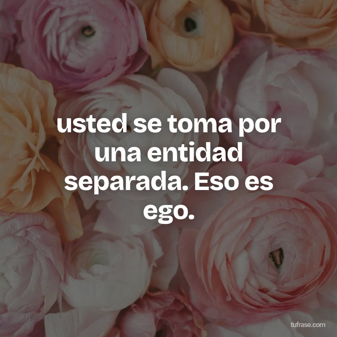 usted se toma por una entidad separada. Eso es ego.