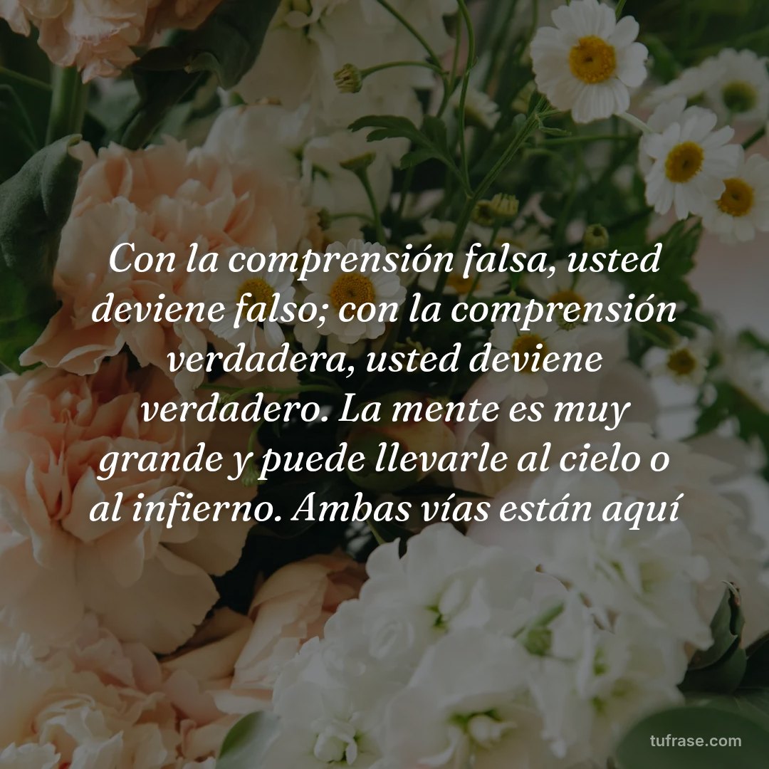 Con la comprensión falsa, usted deviene falso; con la comprensión verdadera, usted deviene verdadero. La mente es muy grande y puede llevarle al cielo o al infierno. Ambas vías están aquí