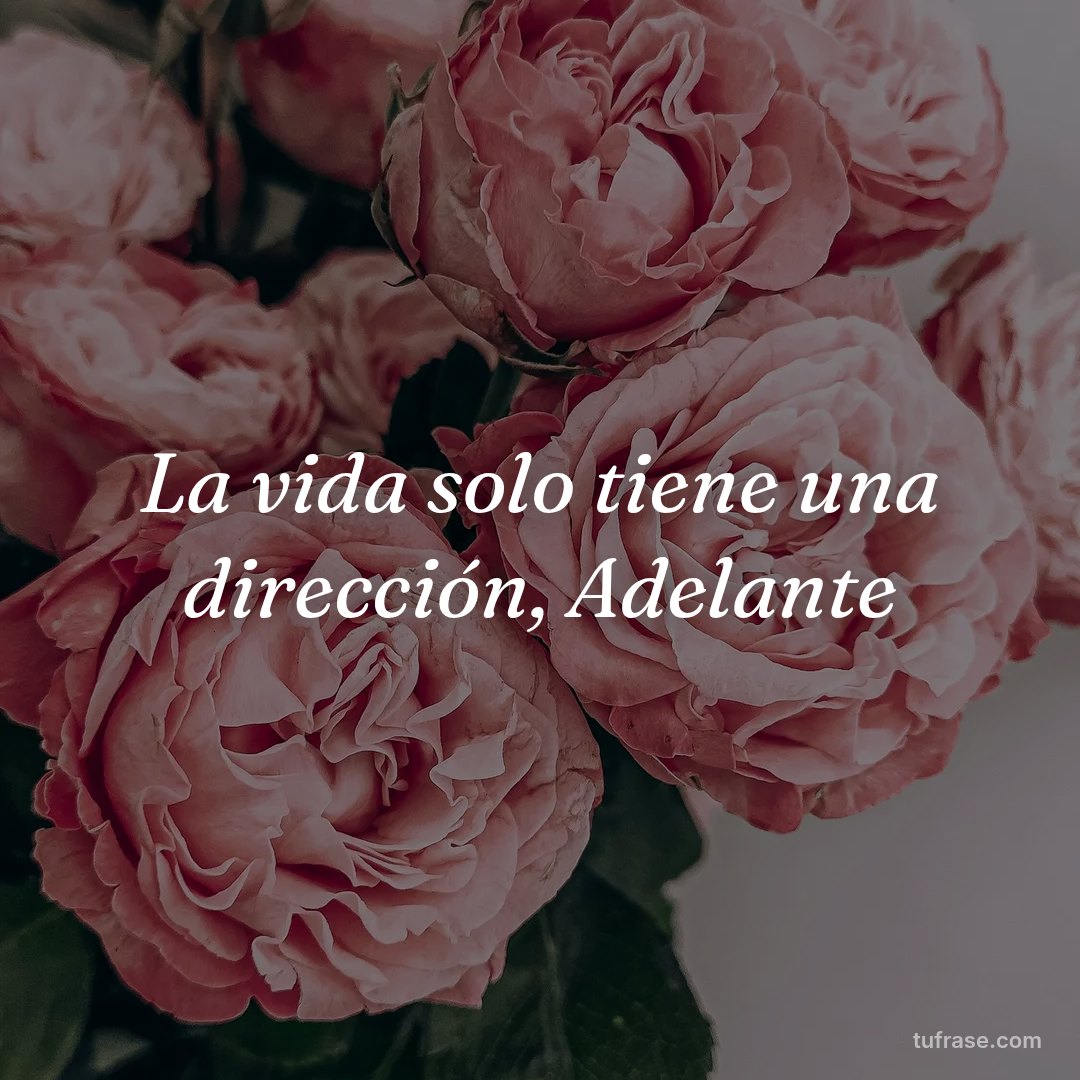 La vida solo tiene una dirección, Adelante