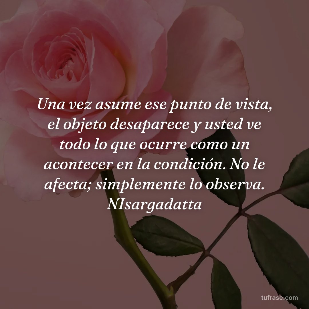 Una vez asume ese punto de vista, el objeto desaparece y usted ve todo lo que ocurre como un acontecer en la condición. No le afecta; simplemente lo observa. NIsargadatta