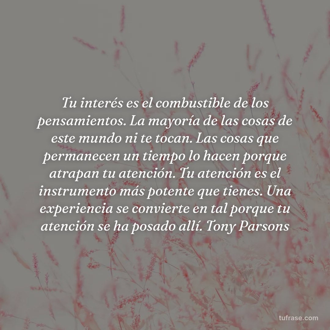 Tu interés es el combustible de los pensamientos. La mayoría de las cosas de este mundo ni te tocan. Las cosas que permanecen un tiempo lo hacen porque atrapan tu atención. Tu atención es el instrumento más potente que tienes. Una experiencia se convierte en tal porque tu atención se ha posado allí. Tony Parsons