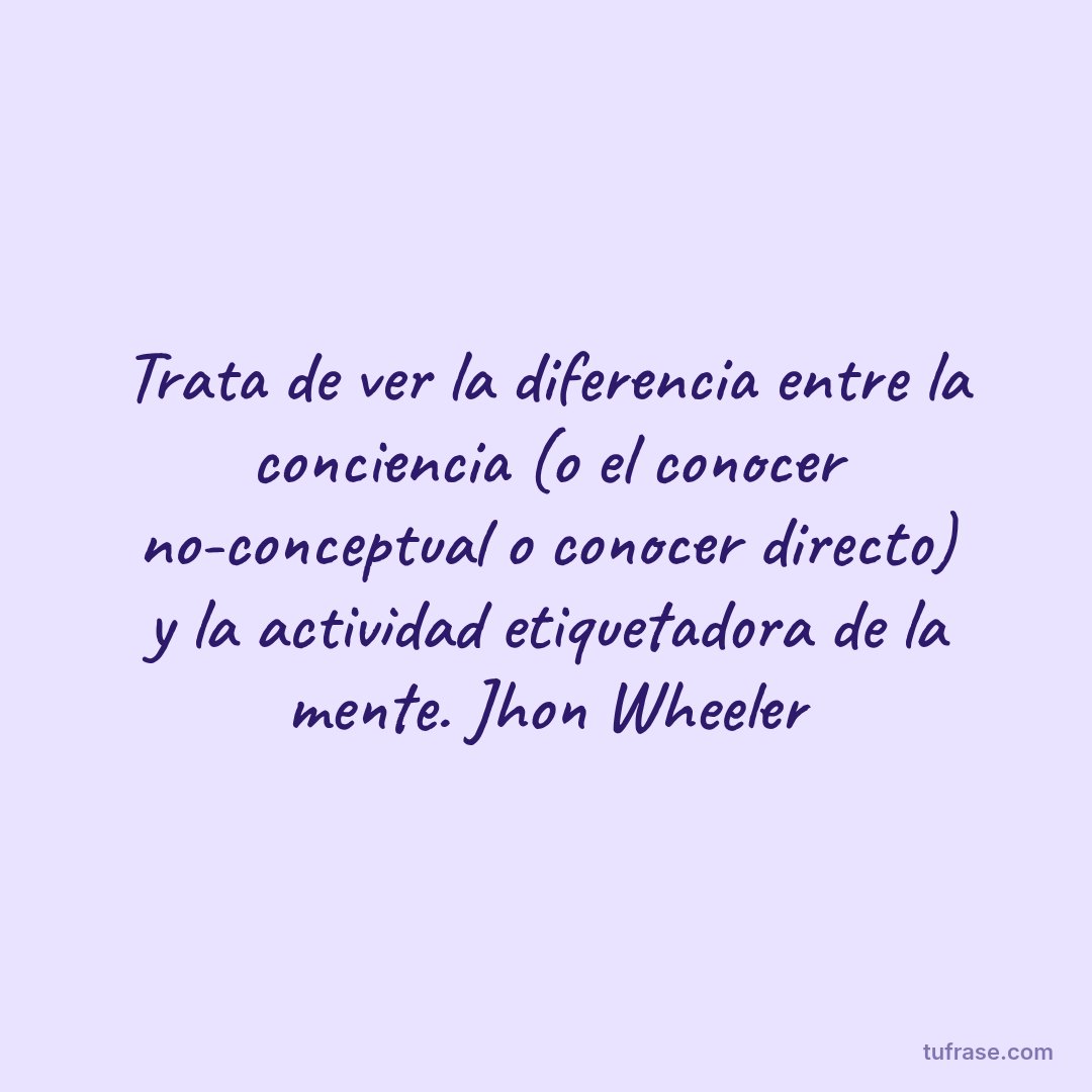 Trata de ver la diferencia entre la conciencia (o el conocer no-conceptual o conocer directo) y la actividad etiquetadora de la mente. Jhon Wheeler