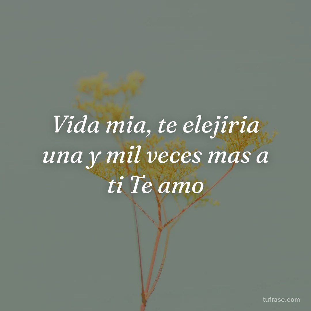 Vida mia, te elejiria una y mil veces mas a ti Te amo