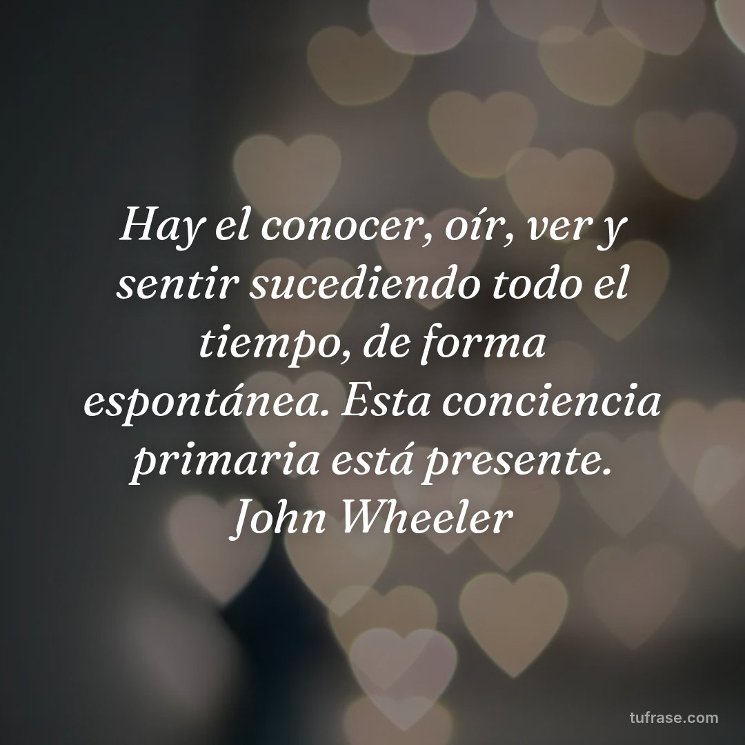 Hay el conocer, oír, ver y sentir sucediendo todo el tiempo, de forma espontánea. Esta conciencia primaria está presente. John Wheeler