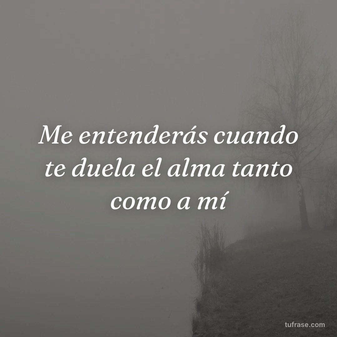 Me entenderás cuando te duela el alma tanto como a mí
