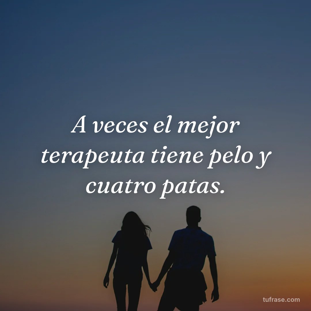 A veces el mejor terapeuta tiene pelo y cuatro patas.
