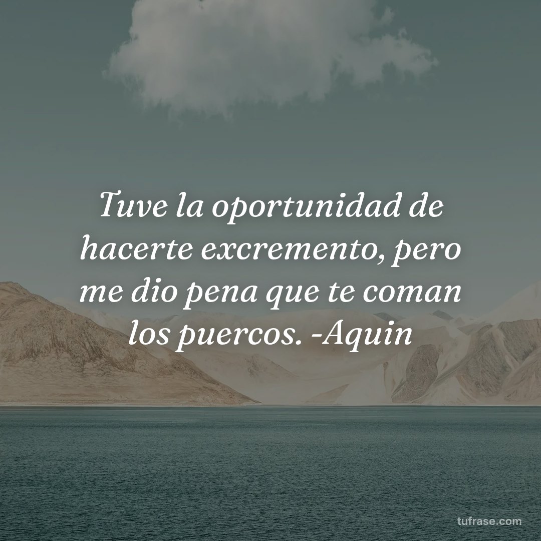 Tuve la oportunidad de hacerte excremento, pero me dio pena que te coman los puercos. -Aquin