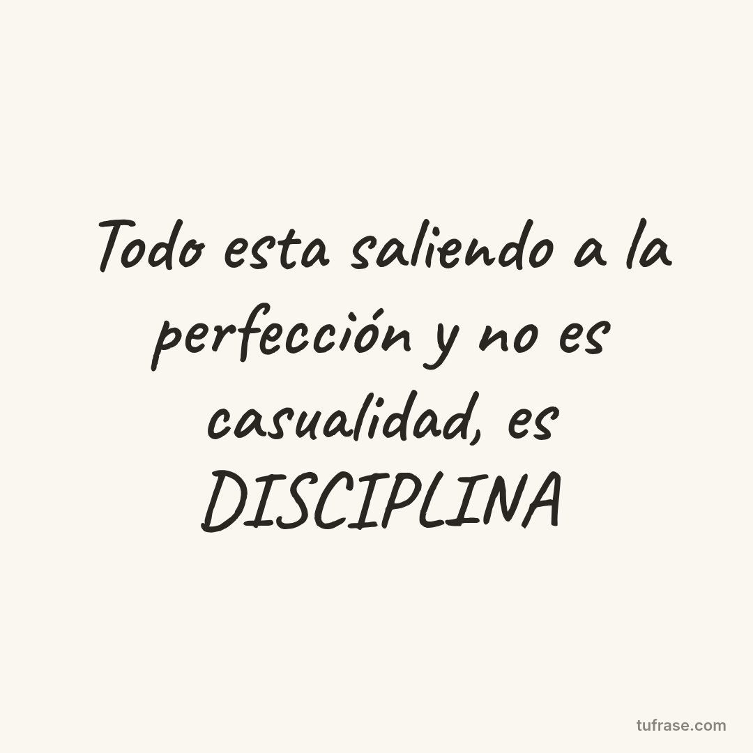 Todo esta saliendo a la perfección y no es casualidad, es DISCIPLINA