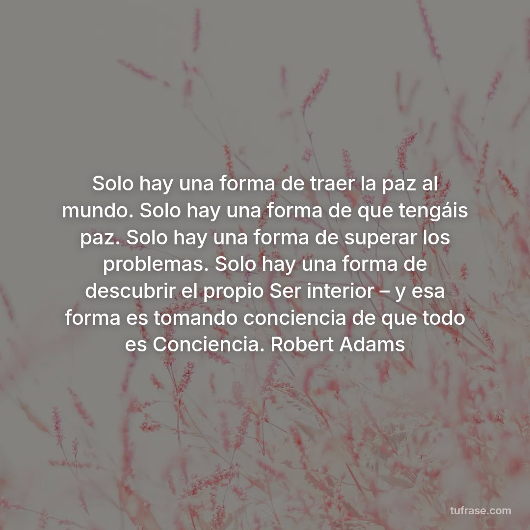 Solo hay una forma de traer la paz al mundo. Solo hay una forma de que tengáis paz. Solo hay una forma de superar los problemas. Solo hay una forma de descubrir el propio Ser interior – y esa forma es tomando conciencia de que todo es Conciencia. Robert Adams