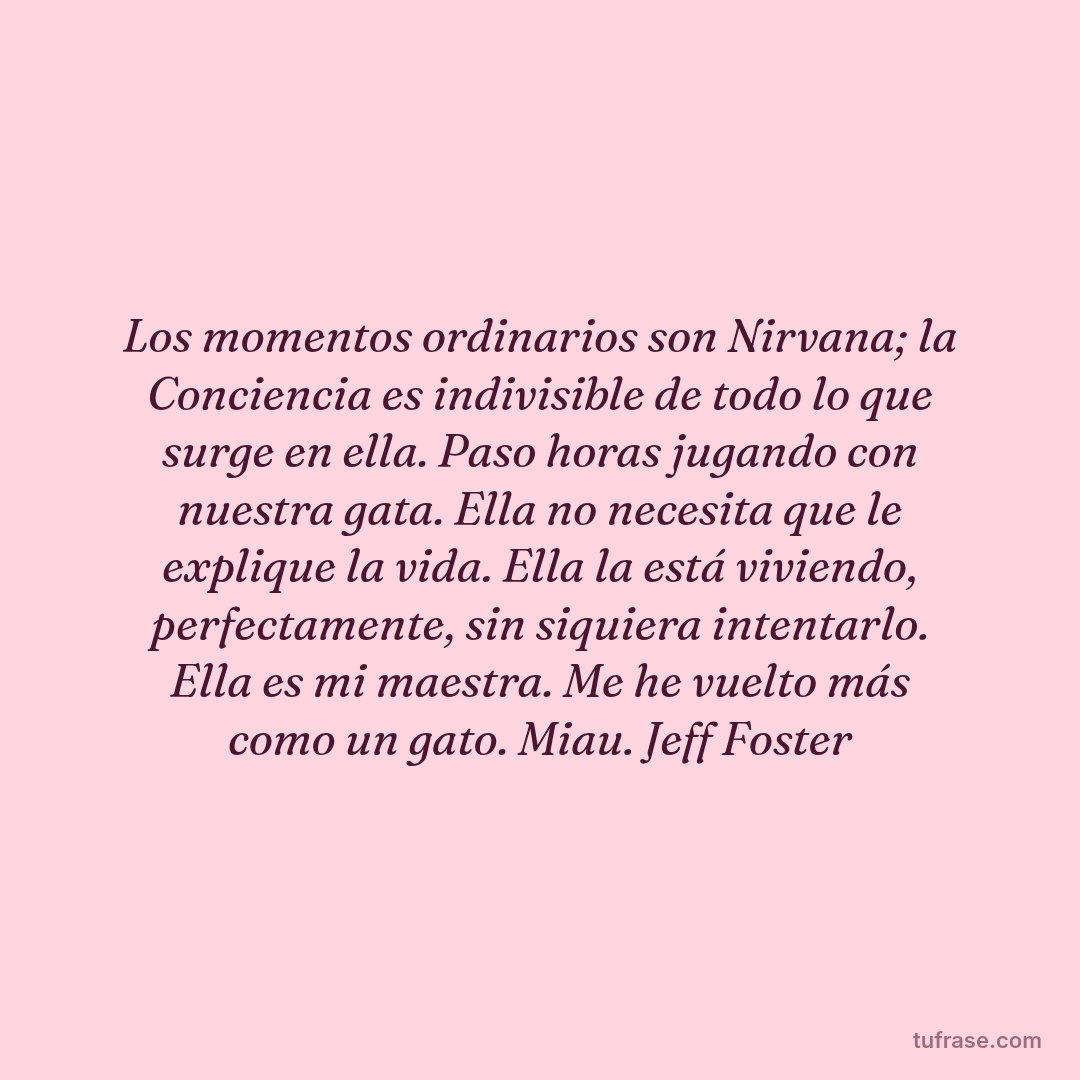 Los momentos ordinarios son Nirvana; la Conciencia es indivisible de todo lo que surge en ella. Paso horas jugando con nuestra gata. Ella no necesita que le explique la vida. Ella la está viviendo, perfectamente, sin siquiera intentarlo. Ella es mi maestra. Me he vuelto más como un gato. Miau. Jeff Foster