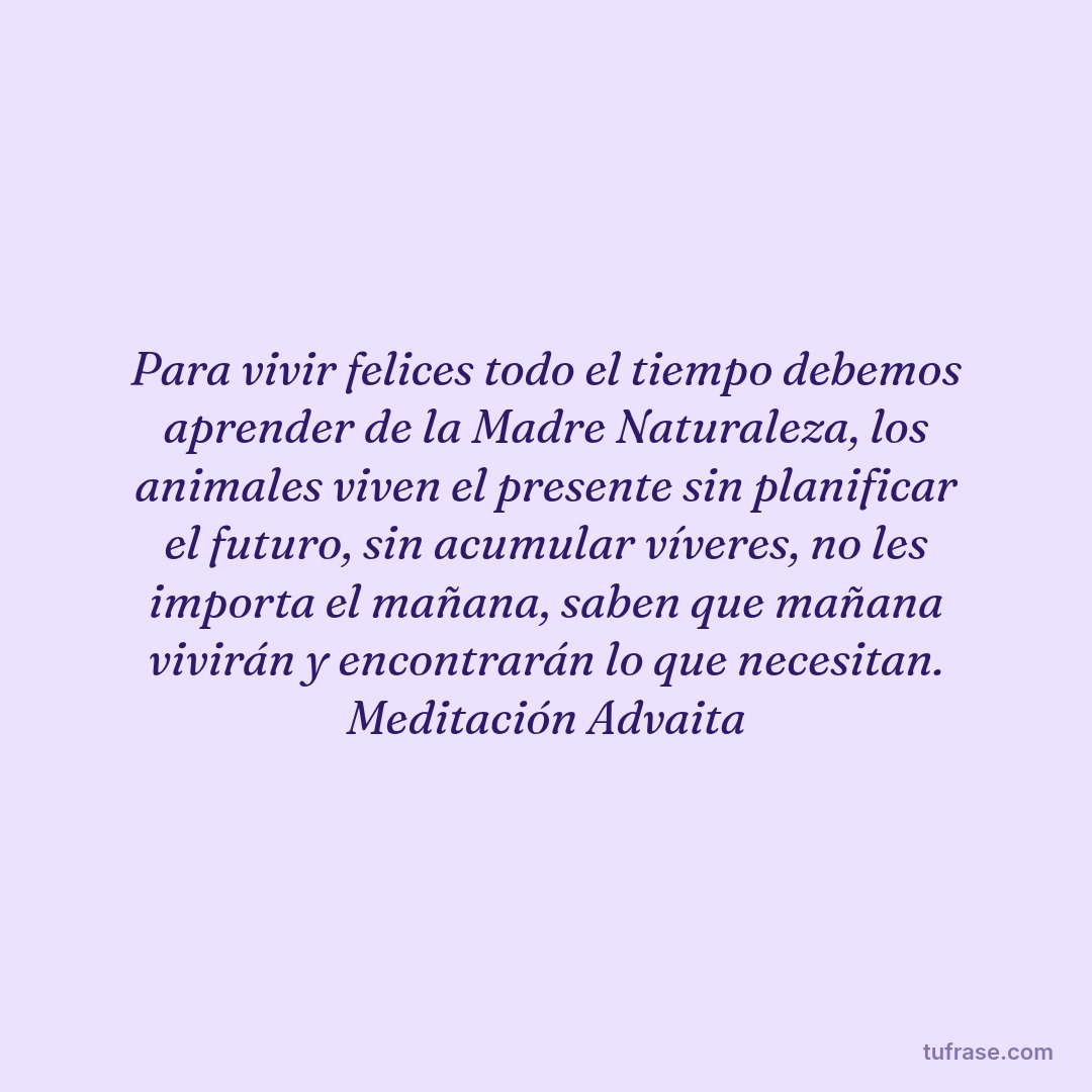 Para vivir felices todo el tiempo debemos aprender de la Madre Naturaleza, los animales viven el presente sin planificar el futuro, sin acumular víveres, no les importa el mañana, saben que mañana vivirán y encontrarán lo que necesitan. Meditación Advaita