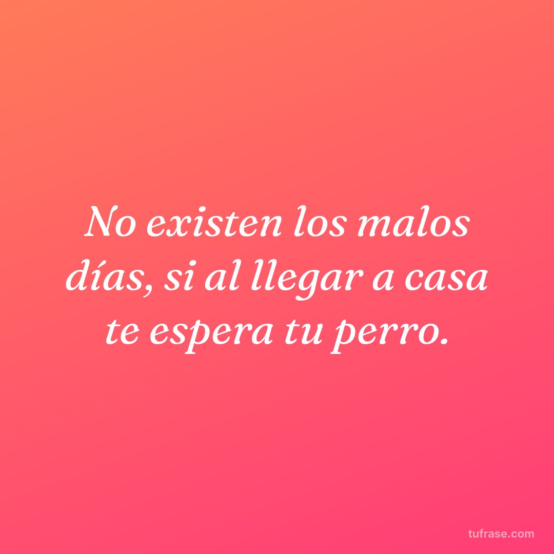 No existen los malos días, si al llegar a casa te espera tu perro.