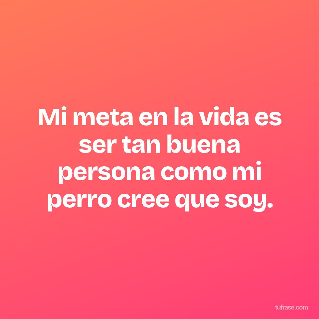 Mi meta en la vida es ser tan buena persona como mi perro cree que soy.