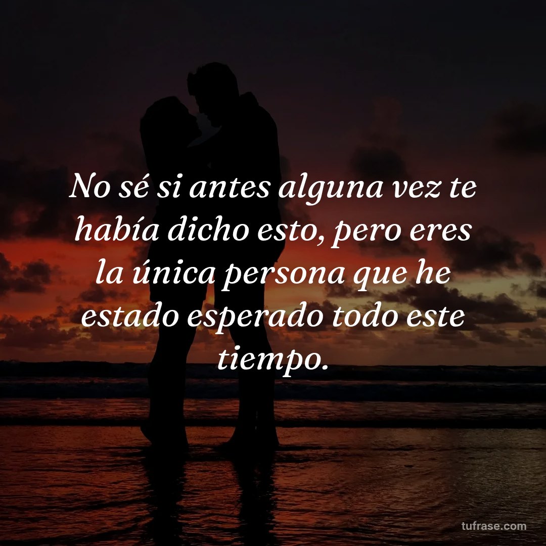 No sé si antes alguna vez te había dicho esto, pero eres la única persona que he estado esperado todo este tiempo.