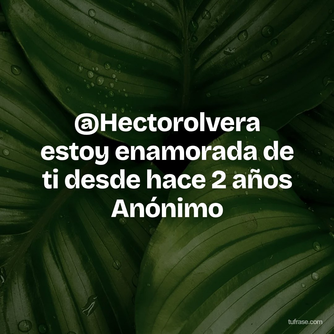 @Hectorolvera estoy enamorada de ti desde hace 2 años Anónimo