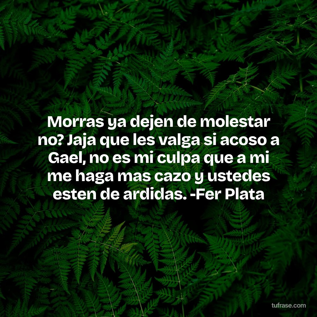 Morras ya dejen de molestar no? Jaja que les valga si acoso a Gael, no es mi culpa que a mi me haga mas cazo y ustedes esten de ardidas. -Fer Plata