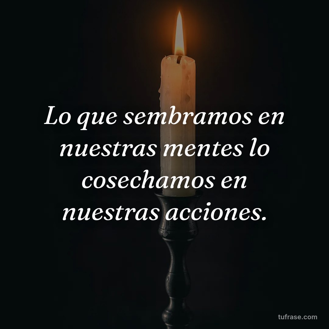 Lo que sembramos en nuestras mentes lo cosechamos en nuestras acciones.