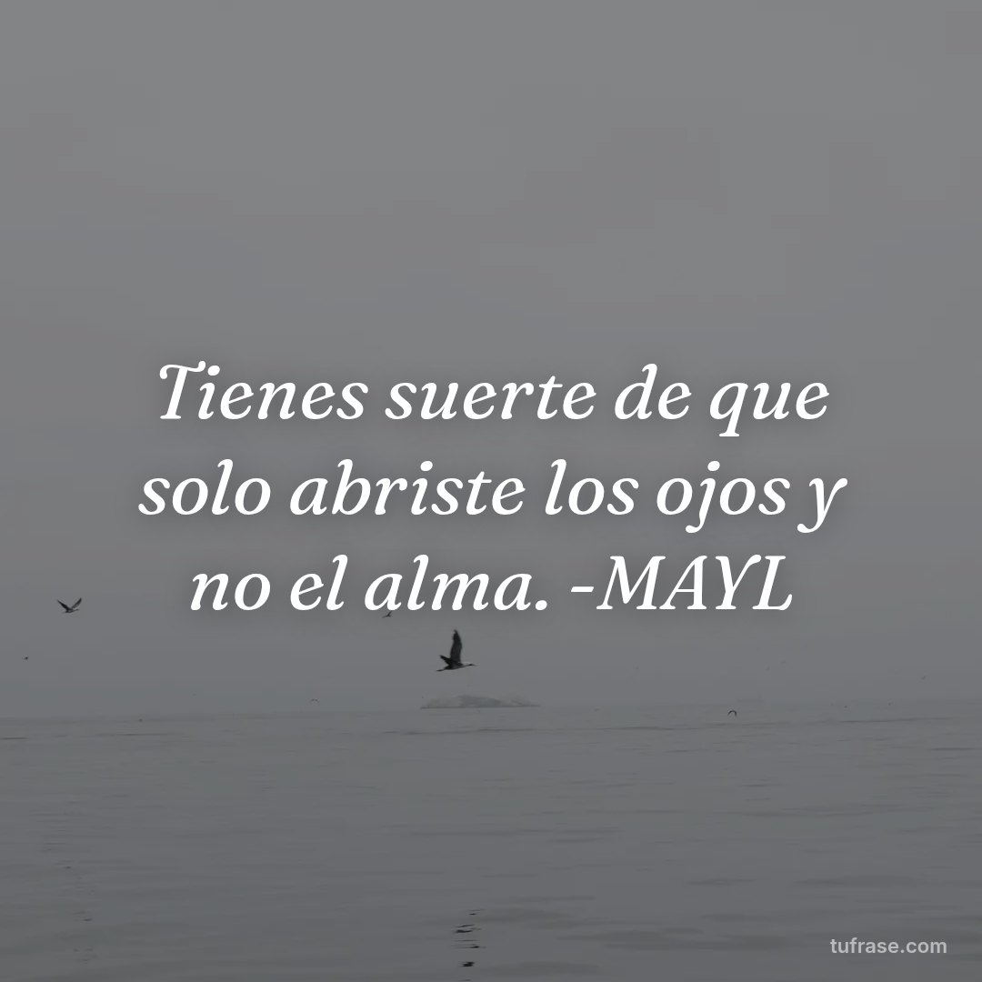 Tienes suerte de que solo abriste los ojos y no el alma. -MAYL