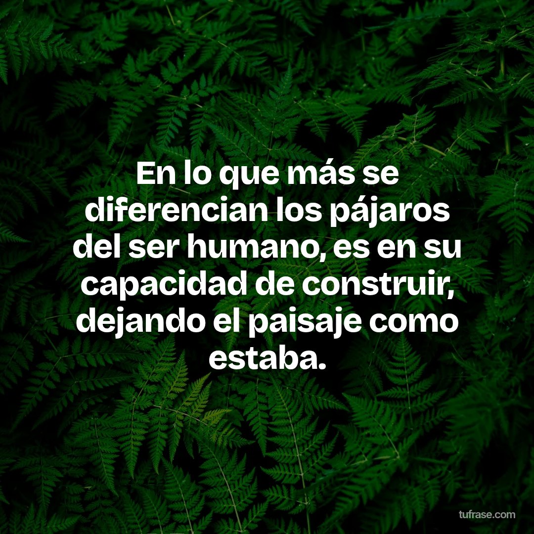 En lo que más se diferencian los pájaros del ser humano, es en su capacidad de construir, dejando el paisaje como estaba.